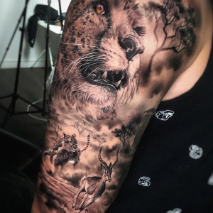 Galeria El Mago 2026 1