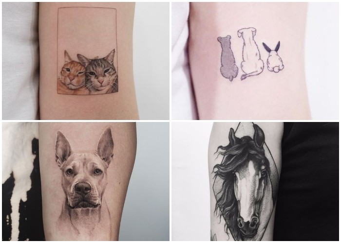 Tatuajes de mascotas: ¿Dónde y cómo tatuarme a mi mascota favorita?